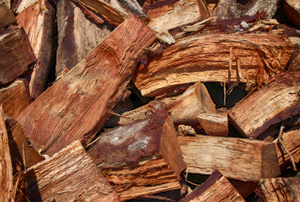 Oak firewood